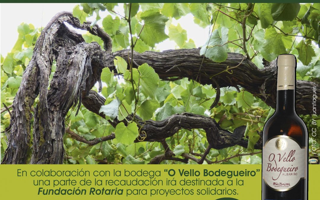 XV Venta de Vino Solidario